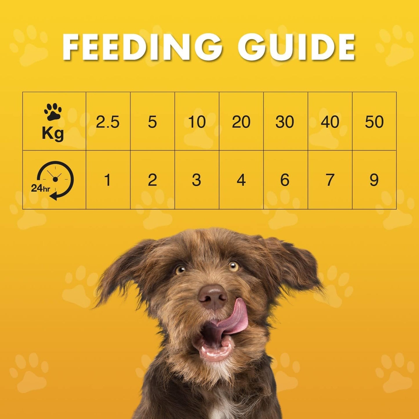 Pet Munchies Wild Salmon Dog Training Treats, Grain Free Tasty Bites with Natural Real Meat 50g (Pack of 8)