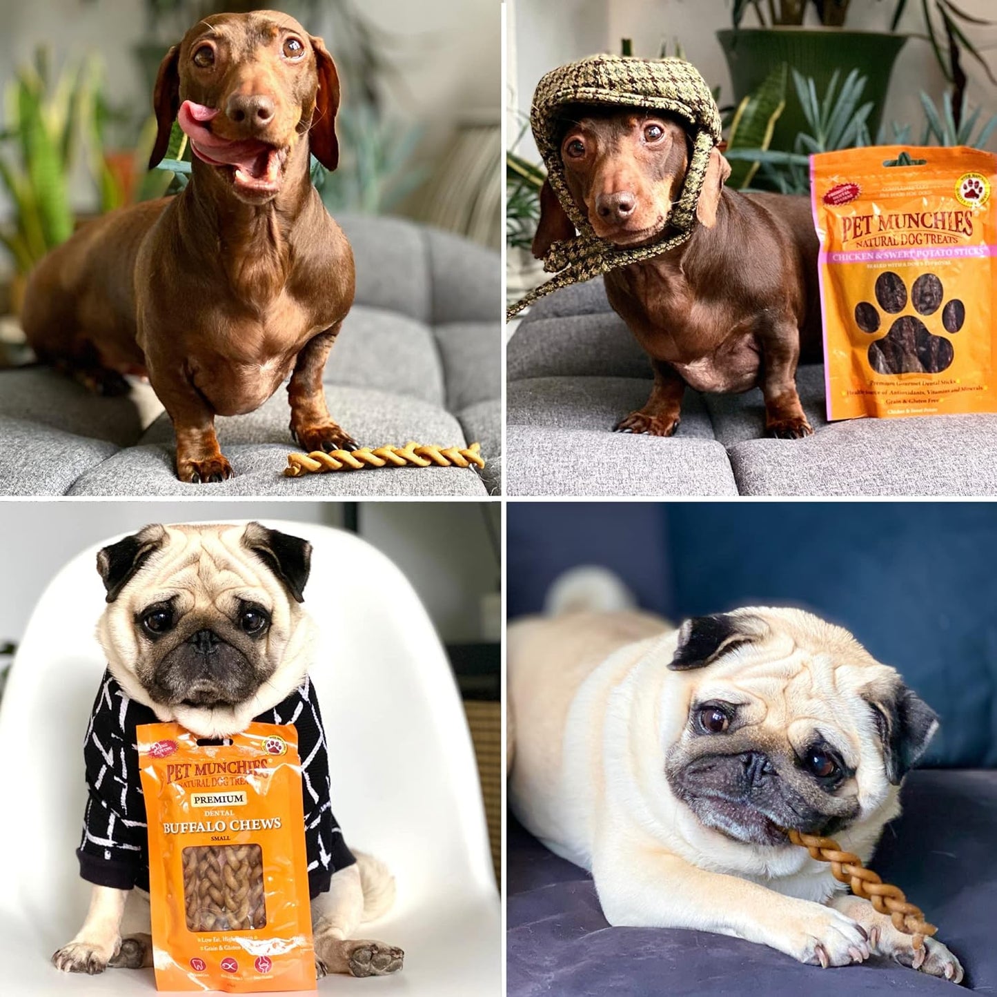 Pet Munchies Wild Salmon Dog Training Treats, Grain Free Tasty Bites with Natural Real Meat 50g (Pack of 8)
