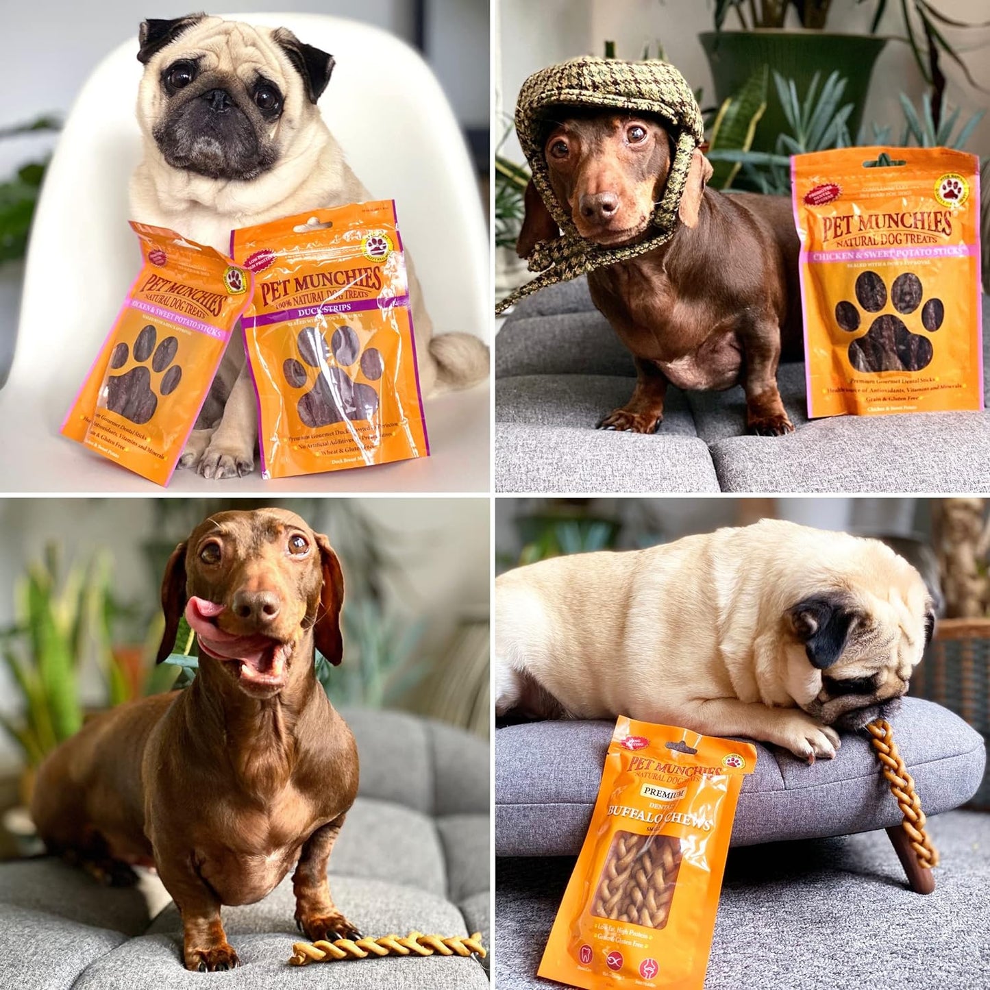Pet Munchies Wild Salmon Dog Training Treats, Grain Free Tasty Bites with Natural Real Meat 50g (Pack of 8)